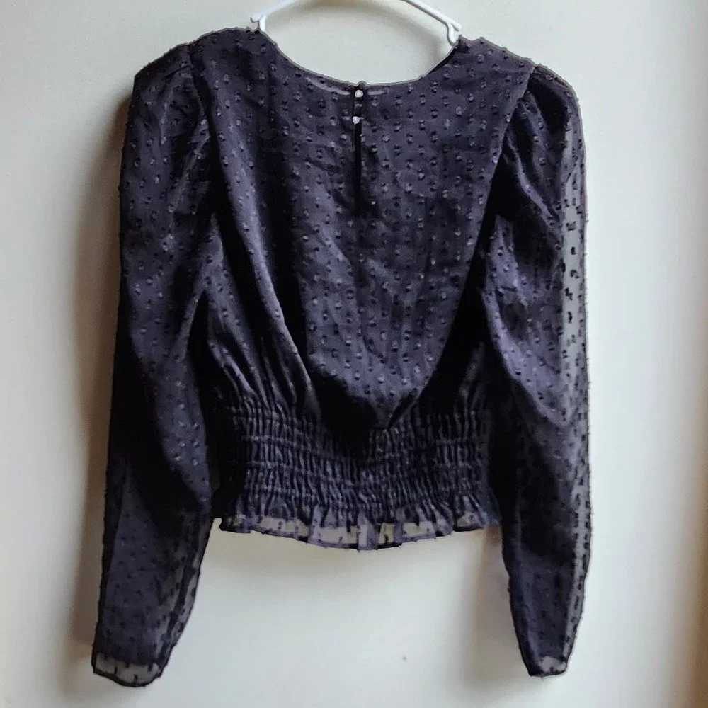 Express Sheer Black Cropped Blouse Size XS